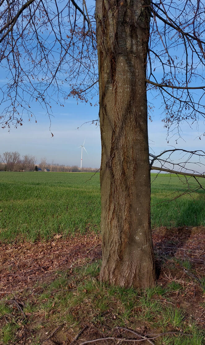 Nature and technology