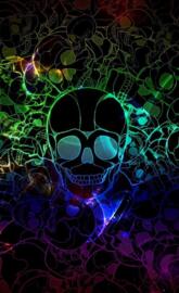 Skull n colors