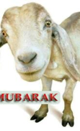 Eid ul adha Mubarak