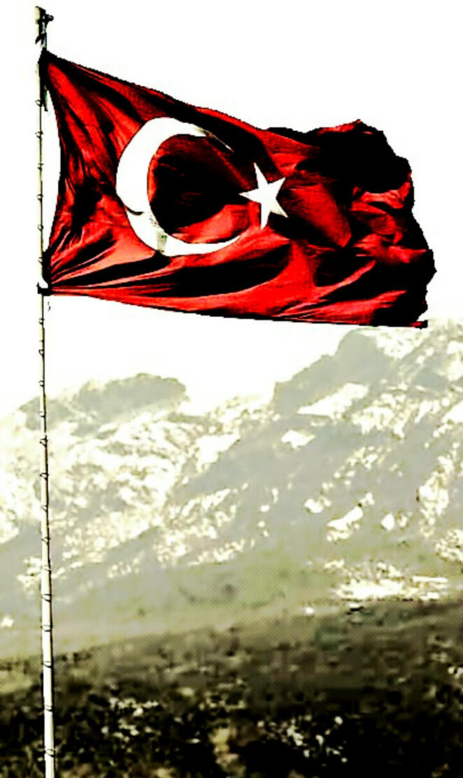 Turkish flag