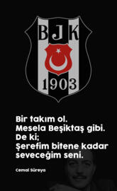 Bir Takim Besiktas