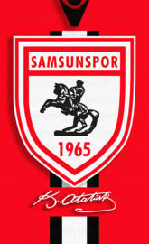 SAMSUNSPOR