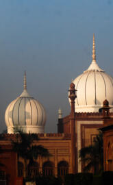 Mosque Amu Aligarh