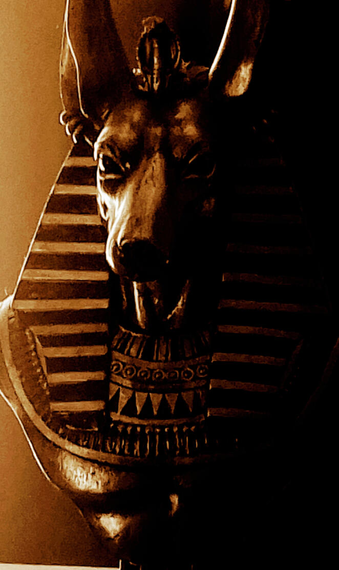 Anubis