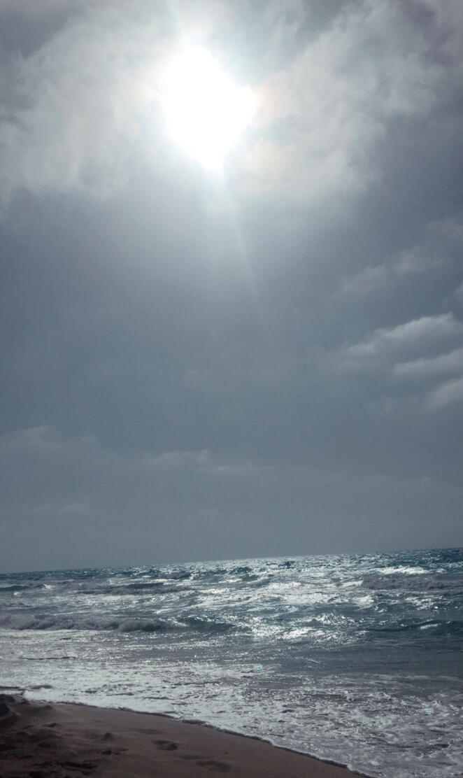 Beach at north coast  