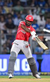 The Boss Gayle kxip