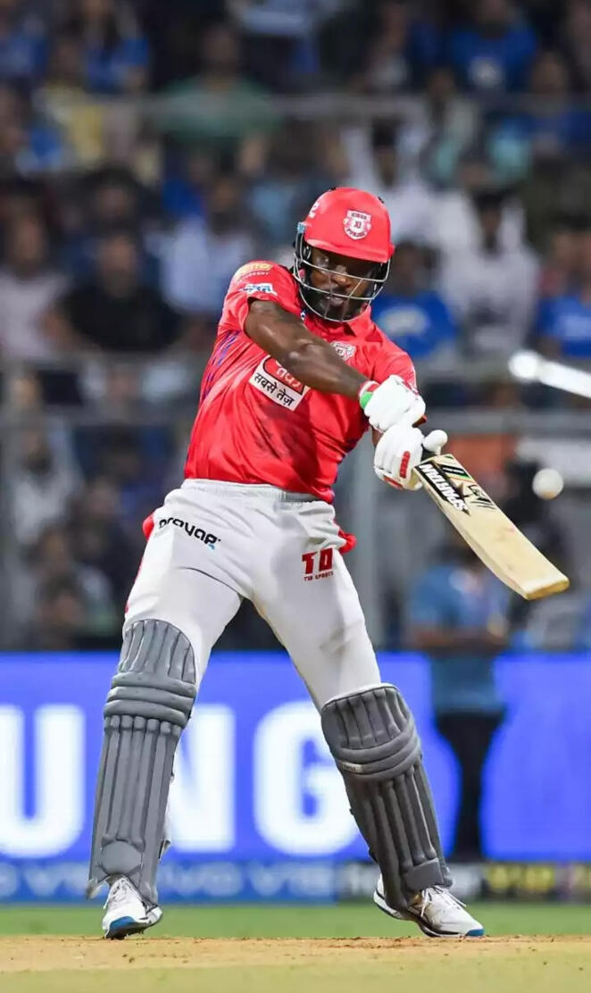 The Boss Gayle kxip