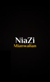 Niazi Mianwalians