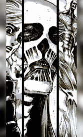 Armin Colossal Titan