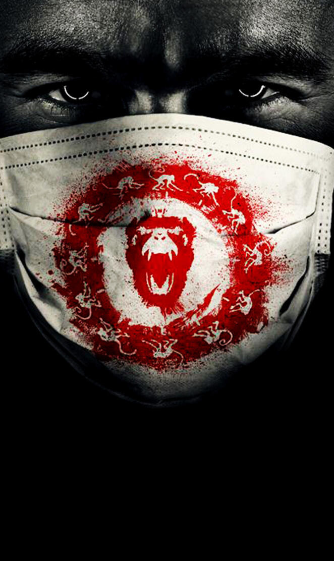12 monkeys