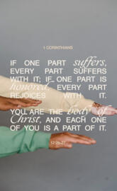 1 Corinthians 12:25-27