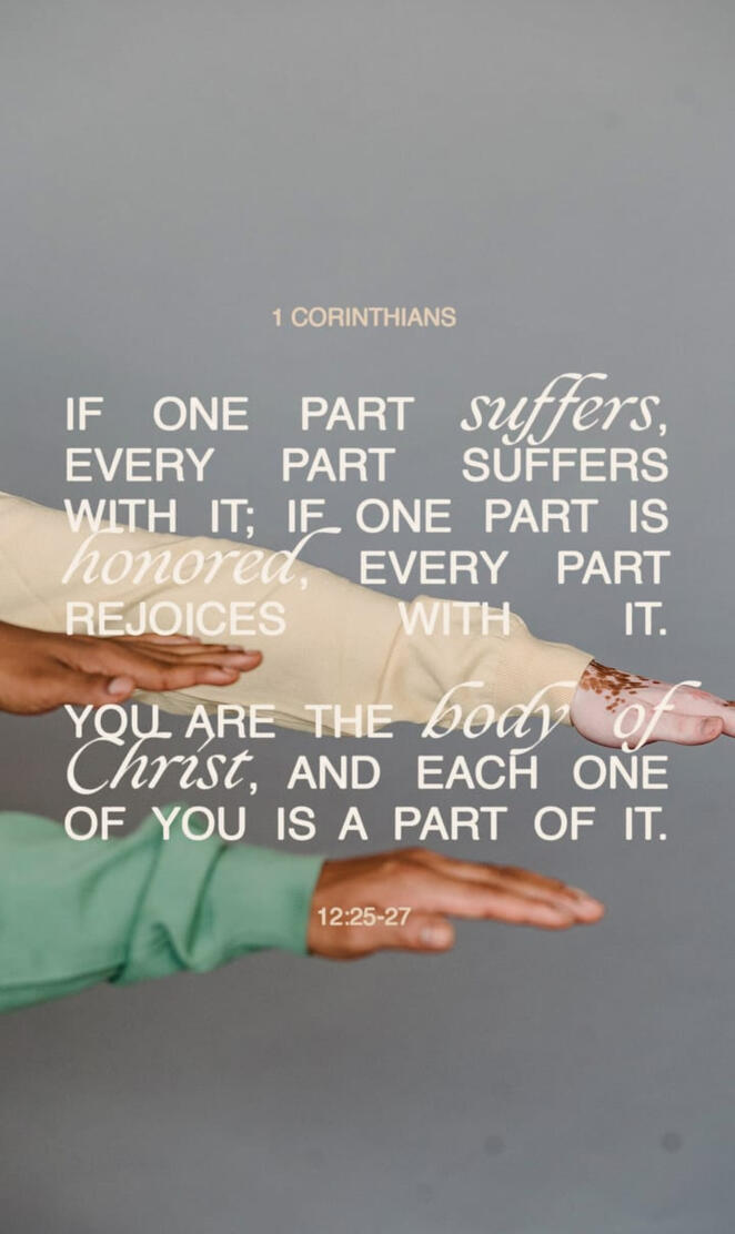 1 Corinthians 12:25-27