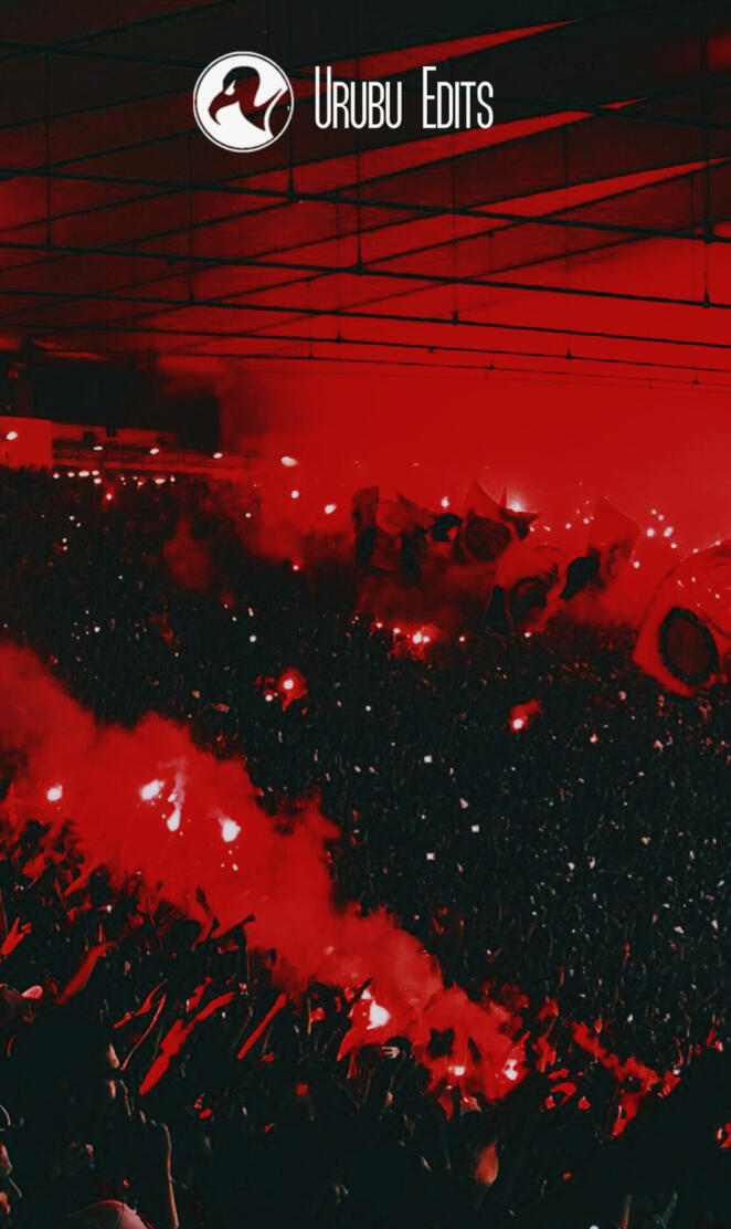 Torcida Flamengo 