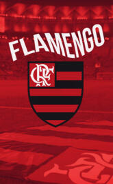Flamengo Fc
