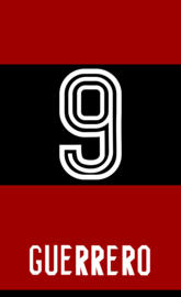 Flamengo Guerrero