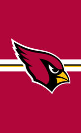 Arizona Cardinals 