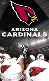 Arizona Cardinals 