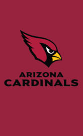 arizona cardinals