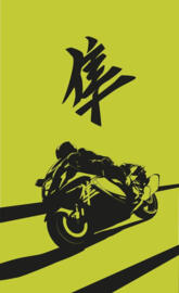 Hayabusa vector wallpa