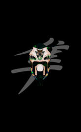 Hayabusa Black Edition