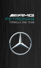 Mercedes F1 Team