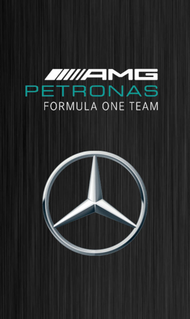 Mercedes F1 Team