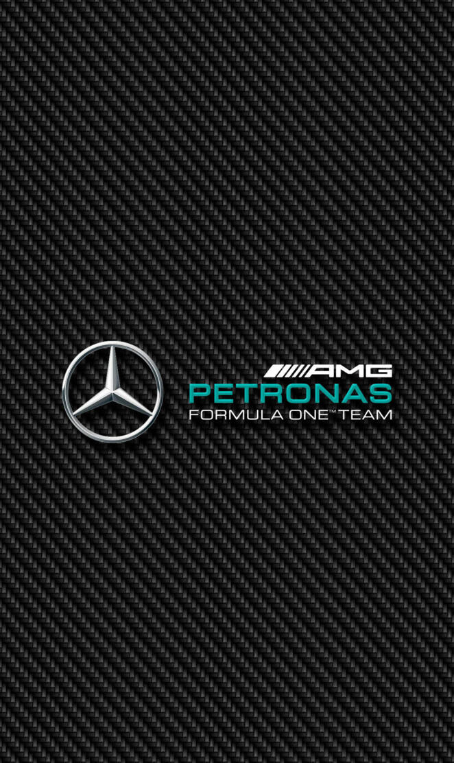 F1 Mercedes Carbon