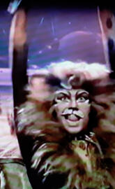 Rum Tum Tugger 