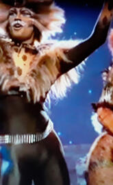 Rum Tum Tugger