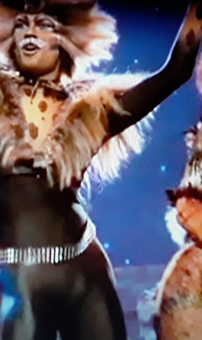 Rum Tum Tugger