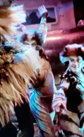 Rum Tum Tugger 