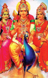 Sri Karthikeya