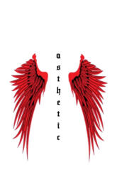 Asthetic wings