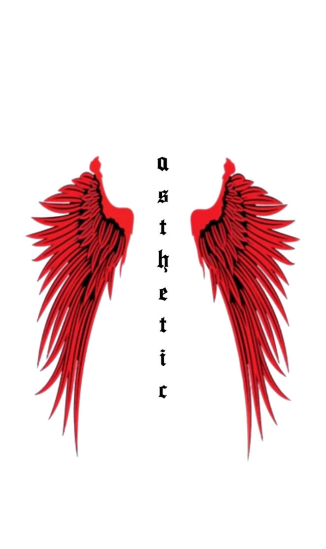 Asthetic wings