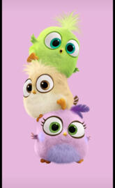 cute angrybirds