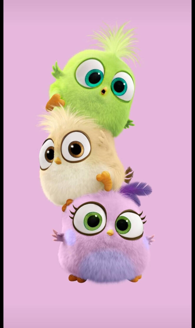 cute angrybirds