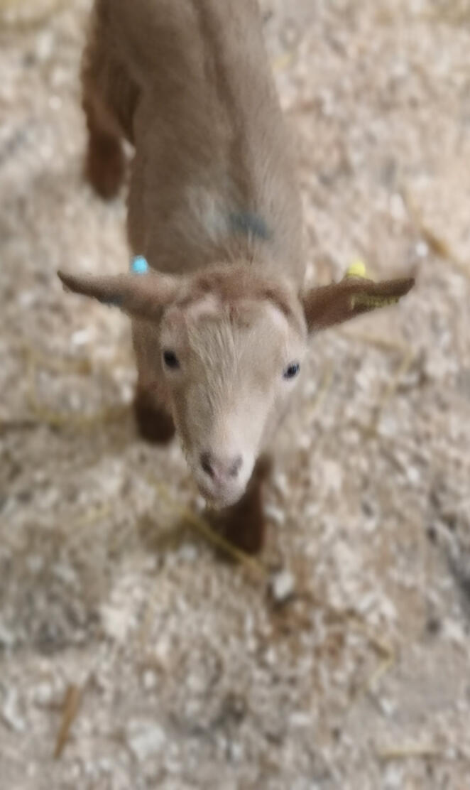 Smiling Kid 