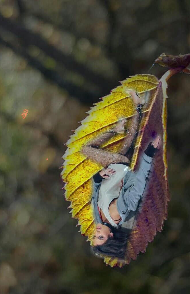 Dua Lipa on a leaf