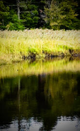 River