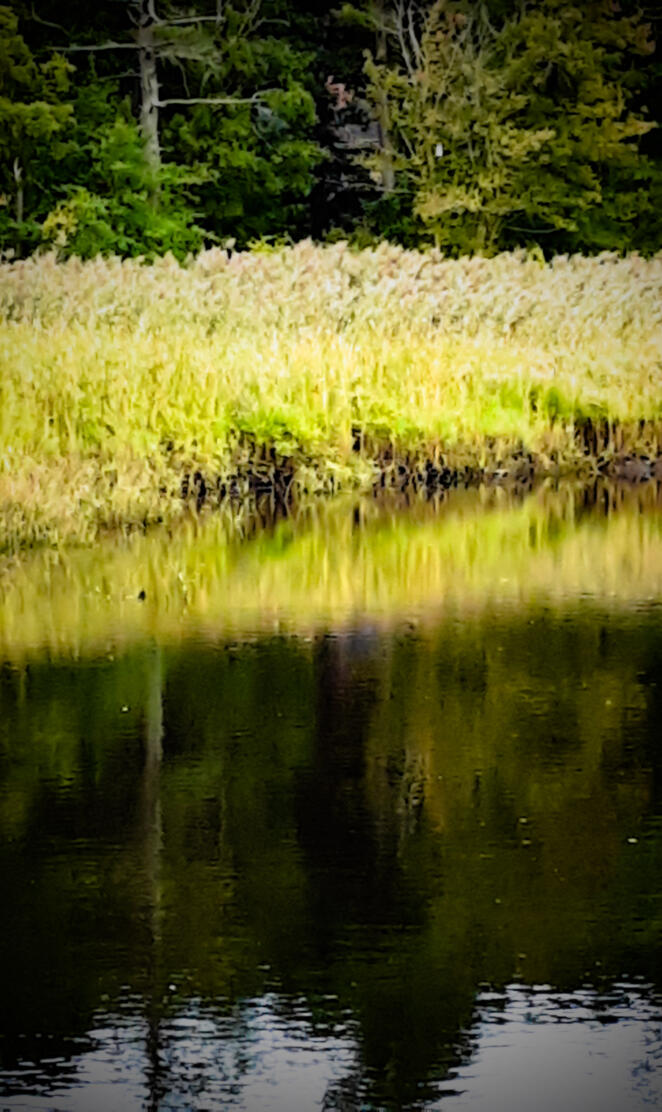 River
