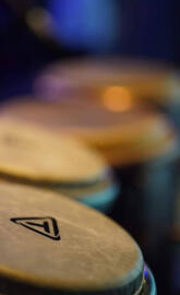 Bongo 