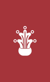 Fuentes Brotantes Mex