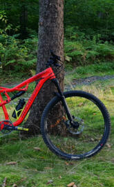 ROCKRIDER XC100S