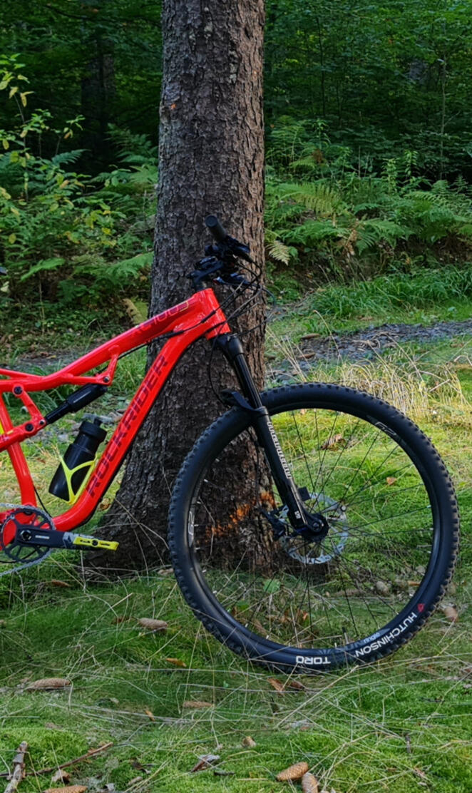 ROCKRIDER XC100S
