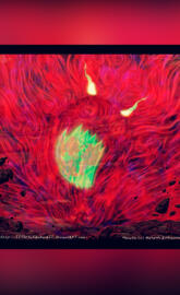 Might Guy Eight Gate