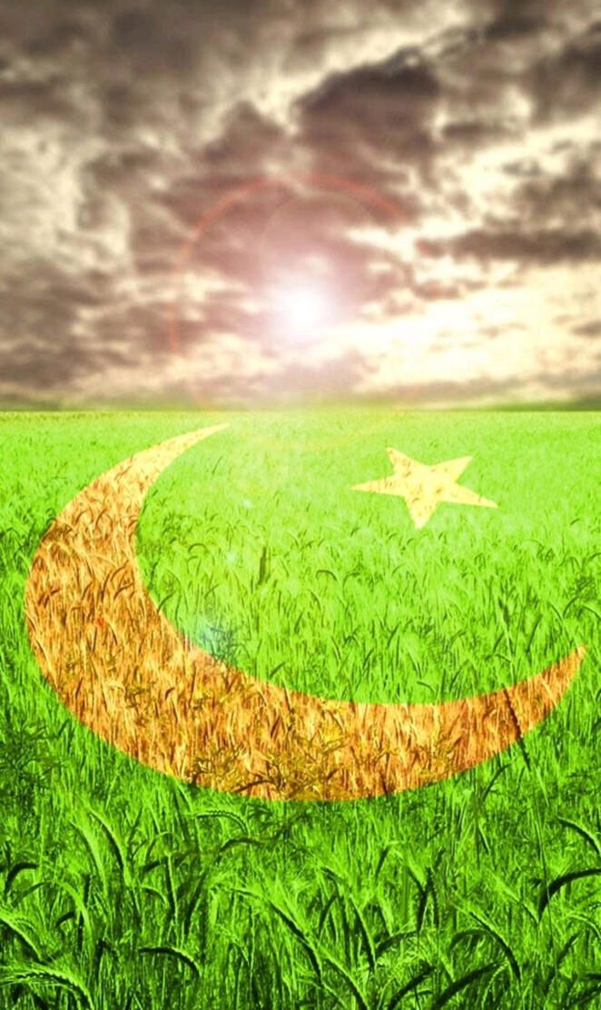 Pakistan flag 4k
