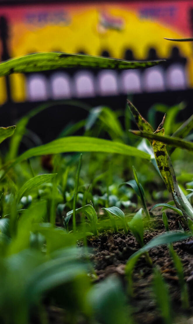 4k HD Wallpaper Nature