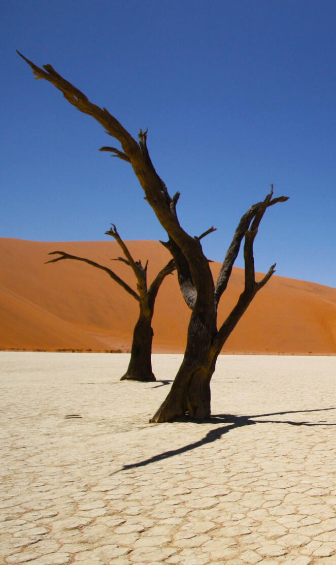 Namib Coastal Desert