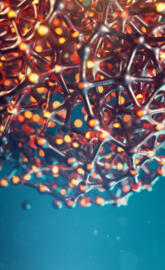 Cellular Interlinked