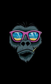 Cool Monkey